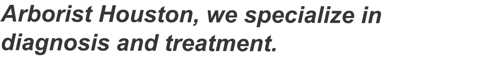 Arborist Houston, we specialize in diagnosis and treatment.