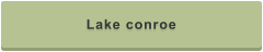 Lake conroe