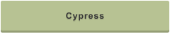 Cypress