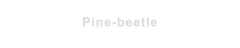 Pine-beetle