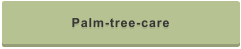 Palm-tree-care