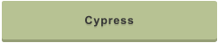 Cypress