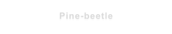 Pine-beetle