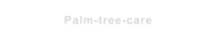 Palm-tree-care