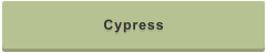 Cypress